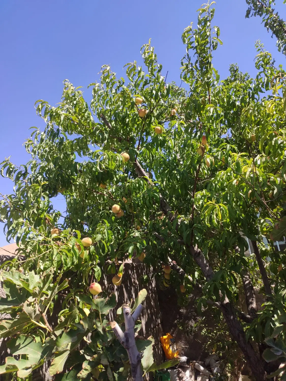 خانه ویلایی فروشی
