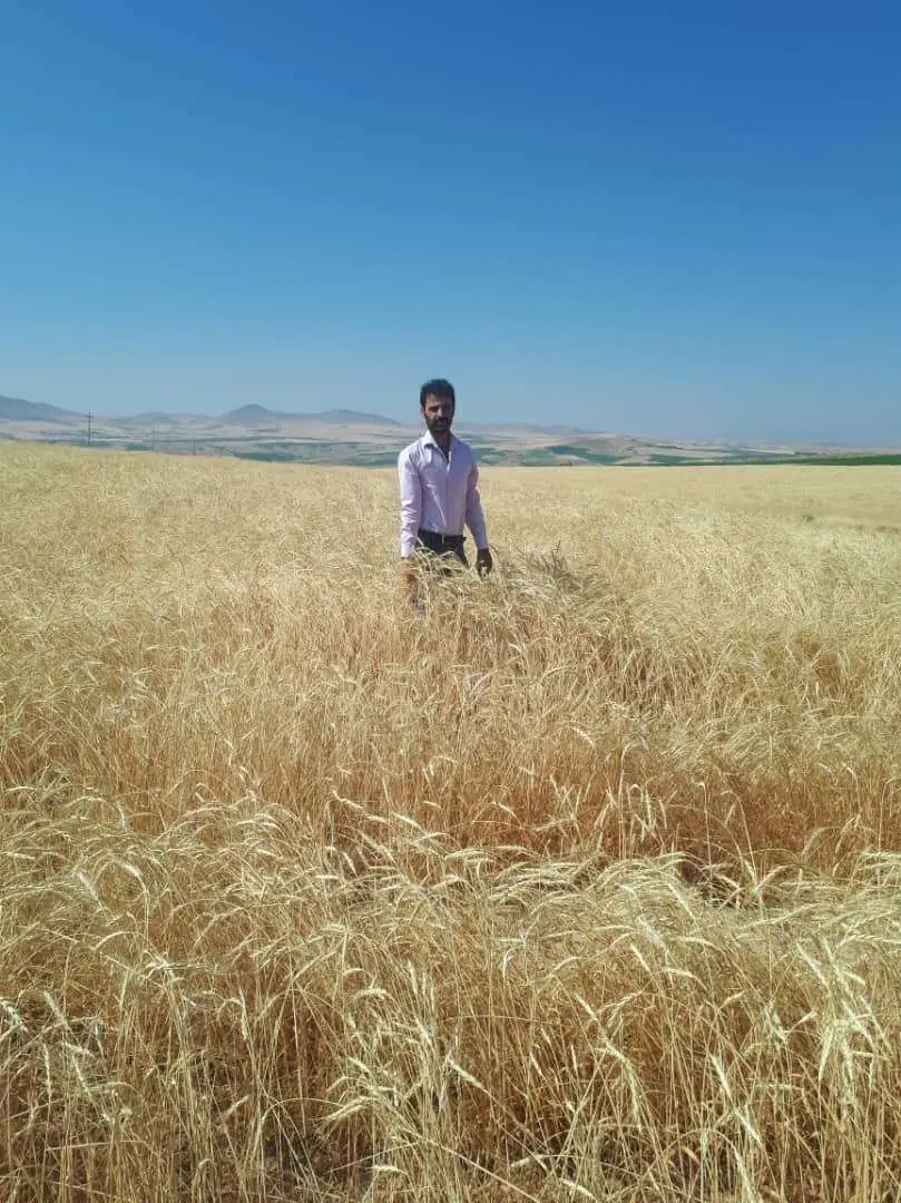 فروش زمین کشاورزی