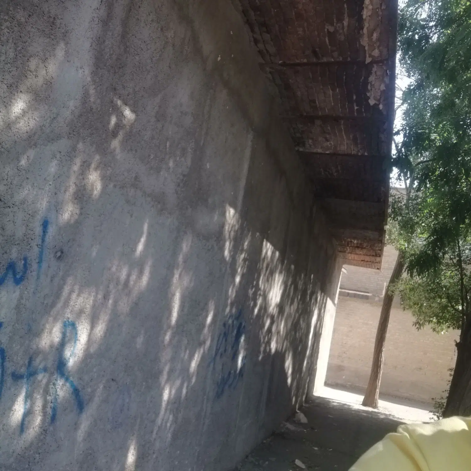 3باب معازه باهم تجاری سند دار