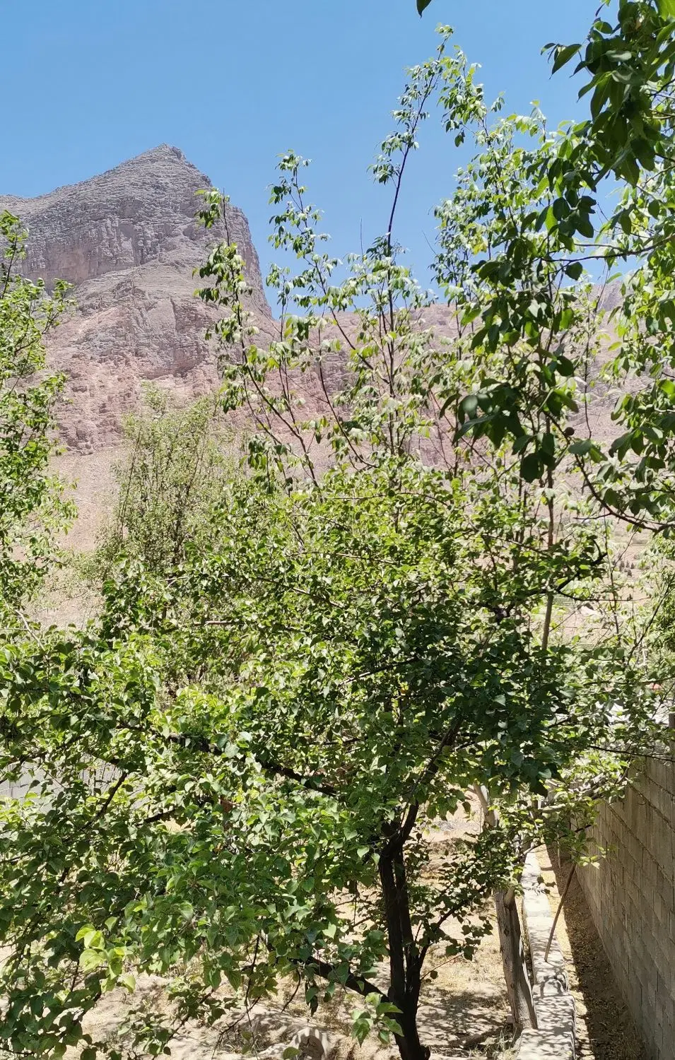 باغچه ده بالا