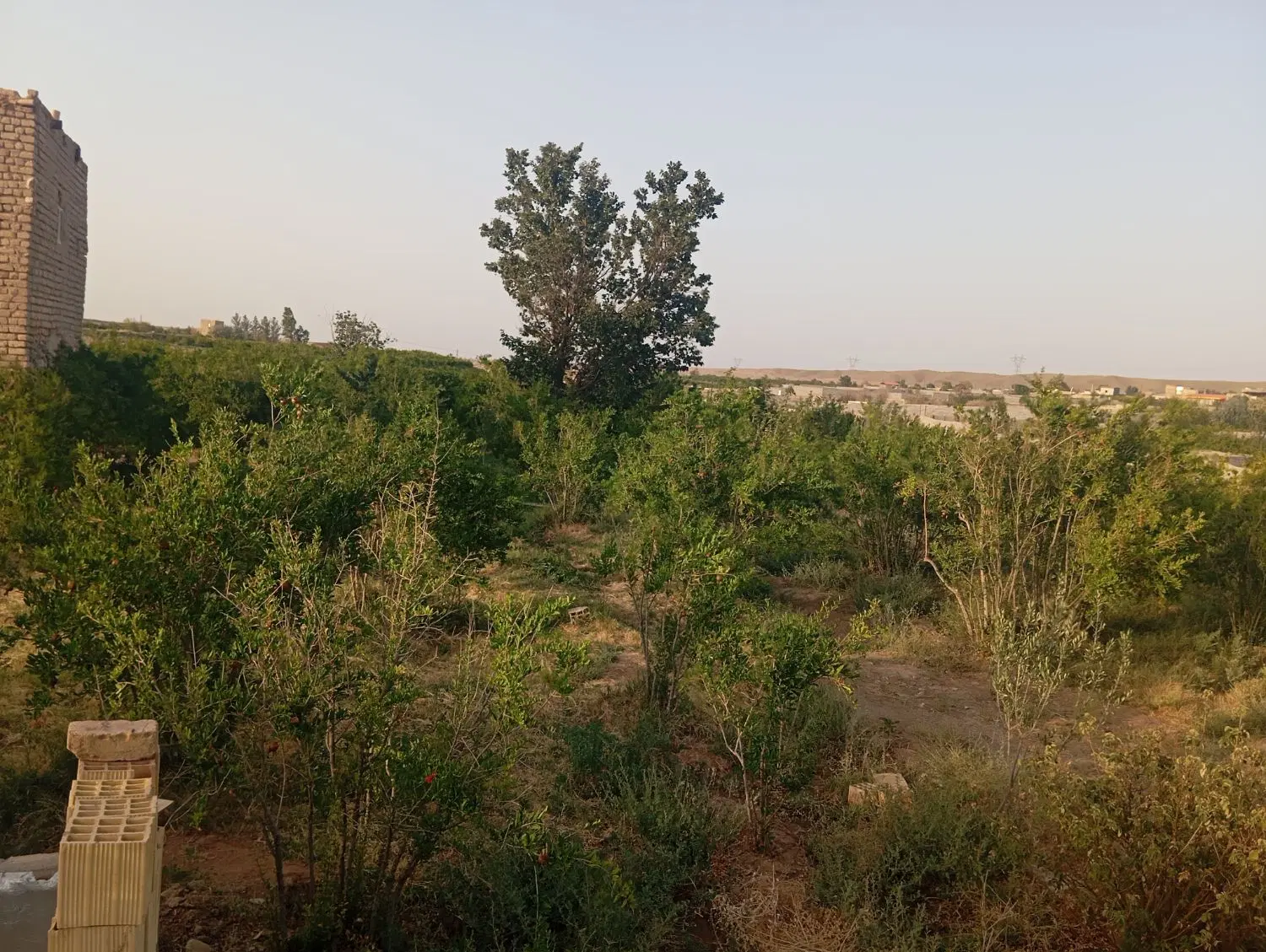 باغ طایقان