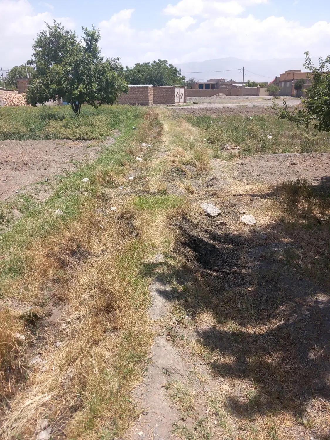 زمین کلاغان خیابان مطهری