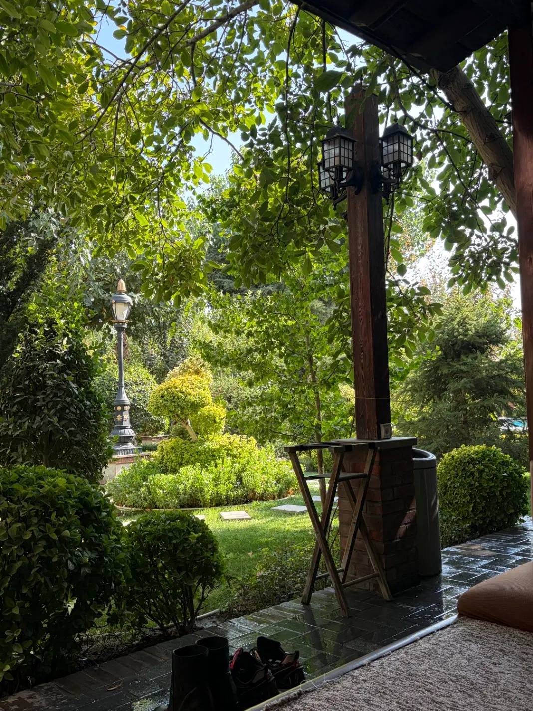 نیاز به همخونه