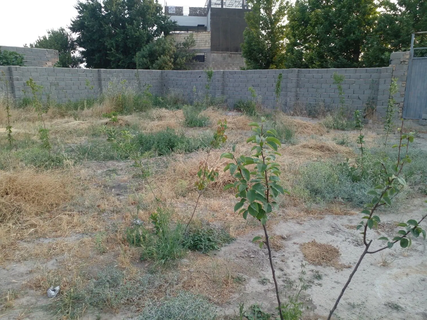 ۶۰۰ متر باغچه چهاردیواری