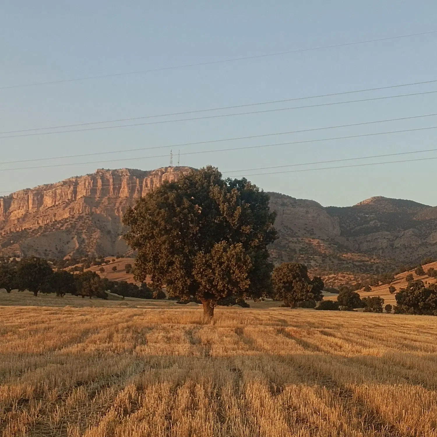 زمین