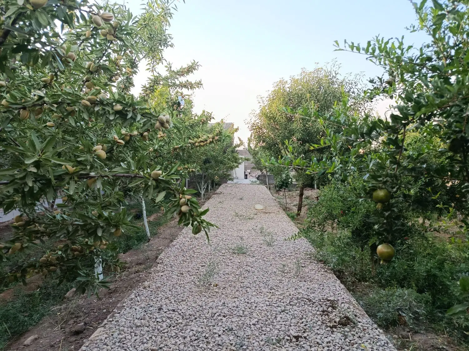 خونه باغ به فروش می‌رسد ۲۵۰۰