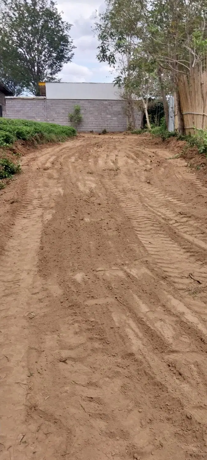 زمین باغ چای