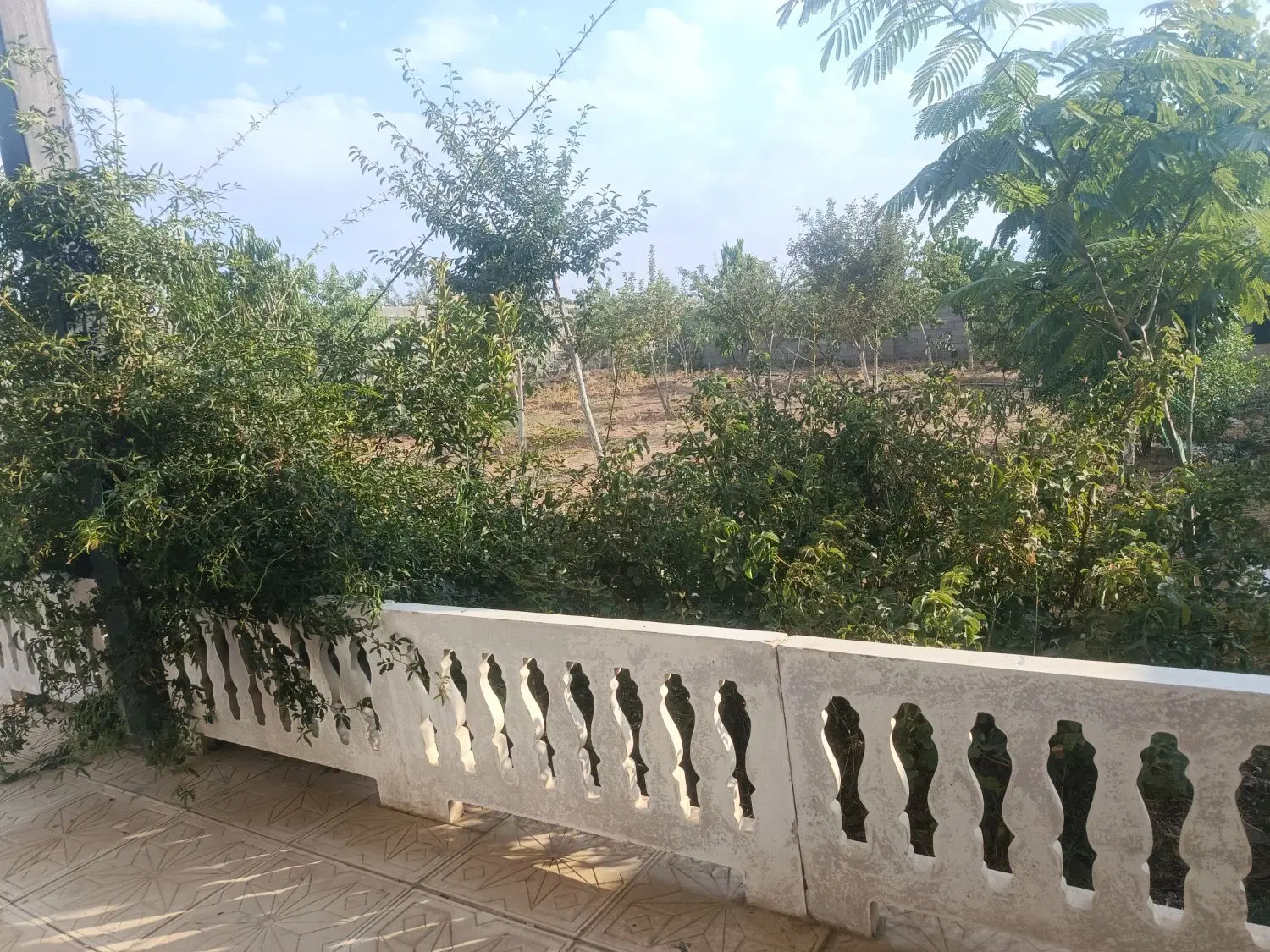 باغ تکمیل