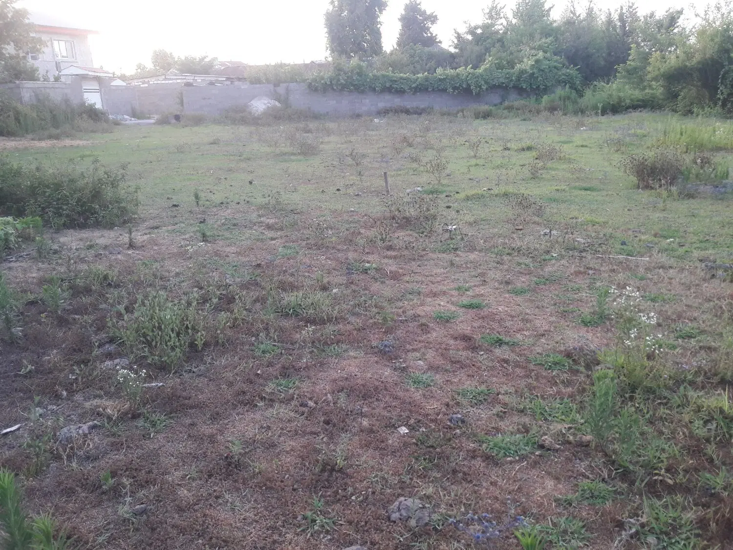 زمین مسکونی