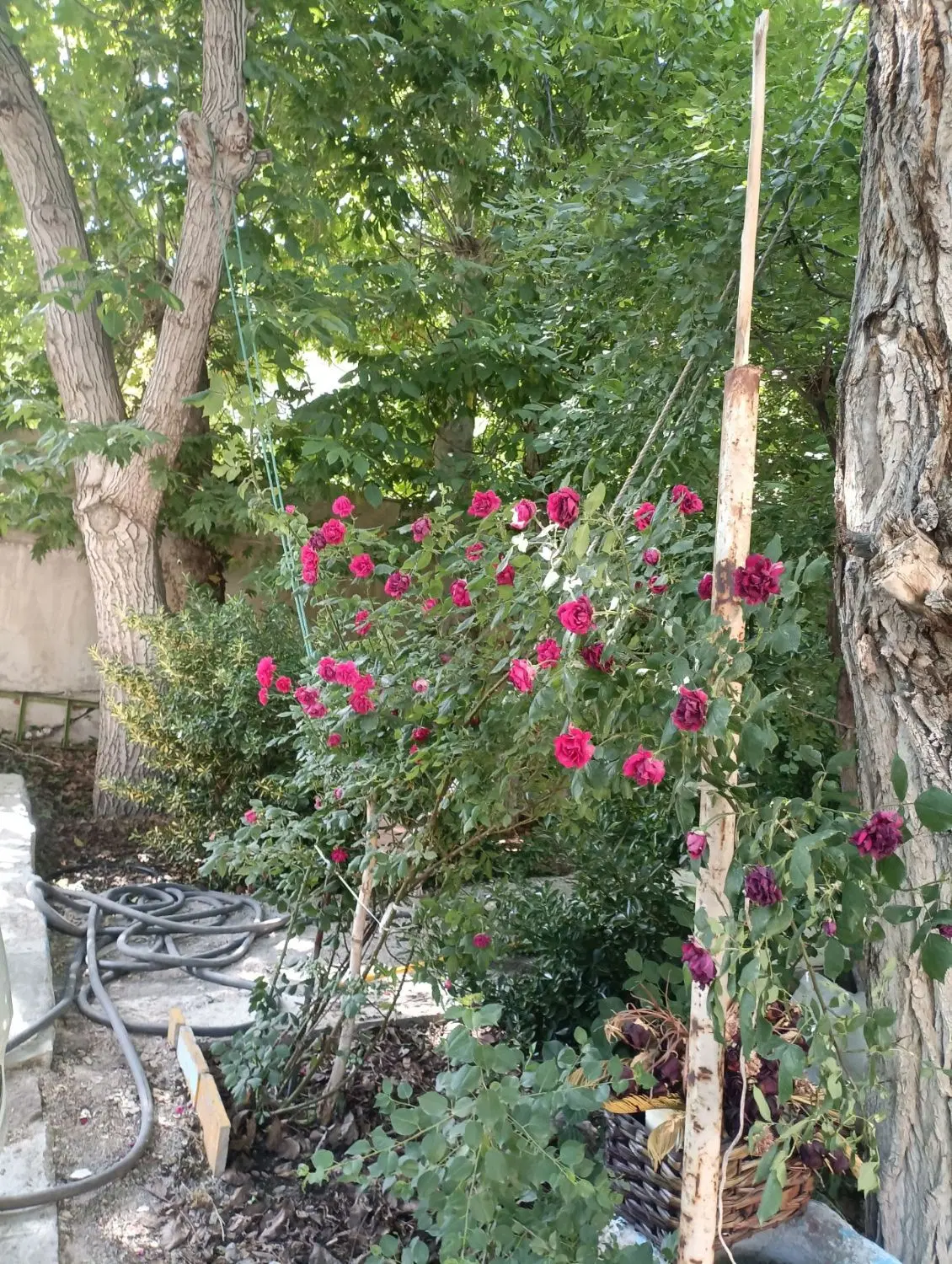 آبعلی مبارک آباد. ۲ خوابه دریا پارکینگ بزرگ