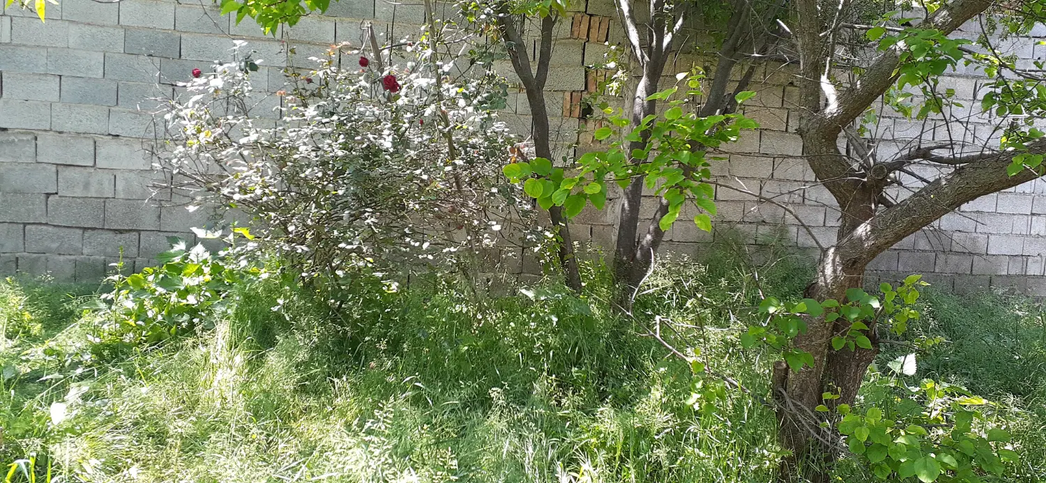 زمین روستای سیدمیران ۴۰۰ متری در بافت