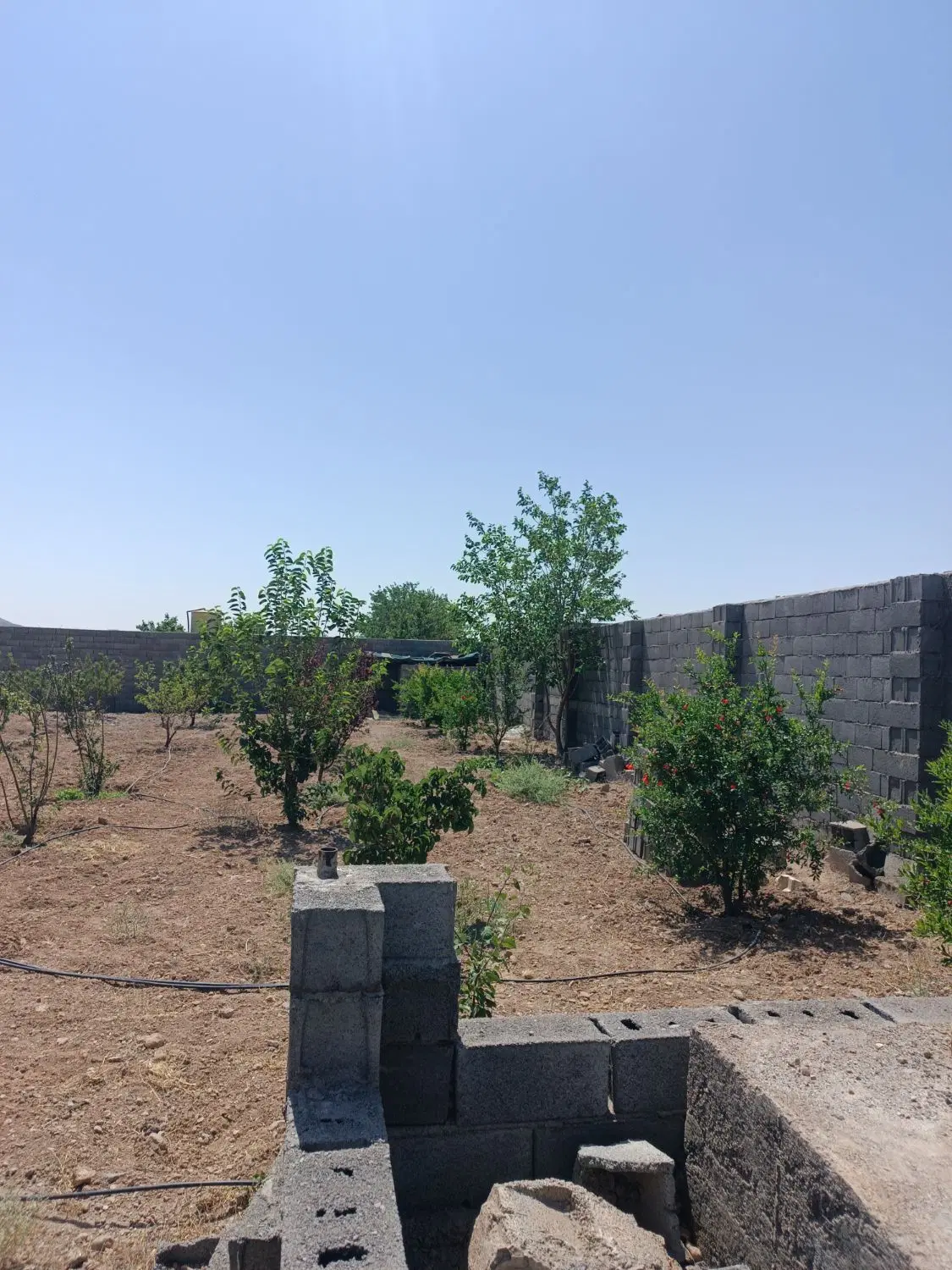 باغ