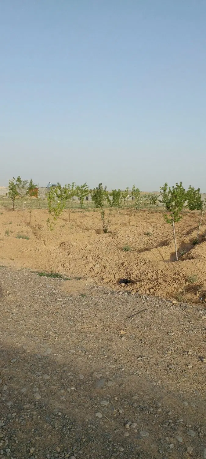زمین ۷۰ متری