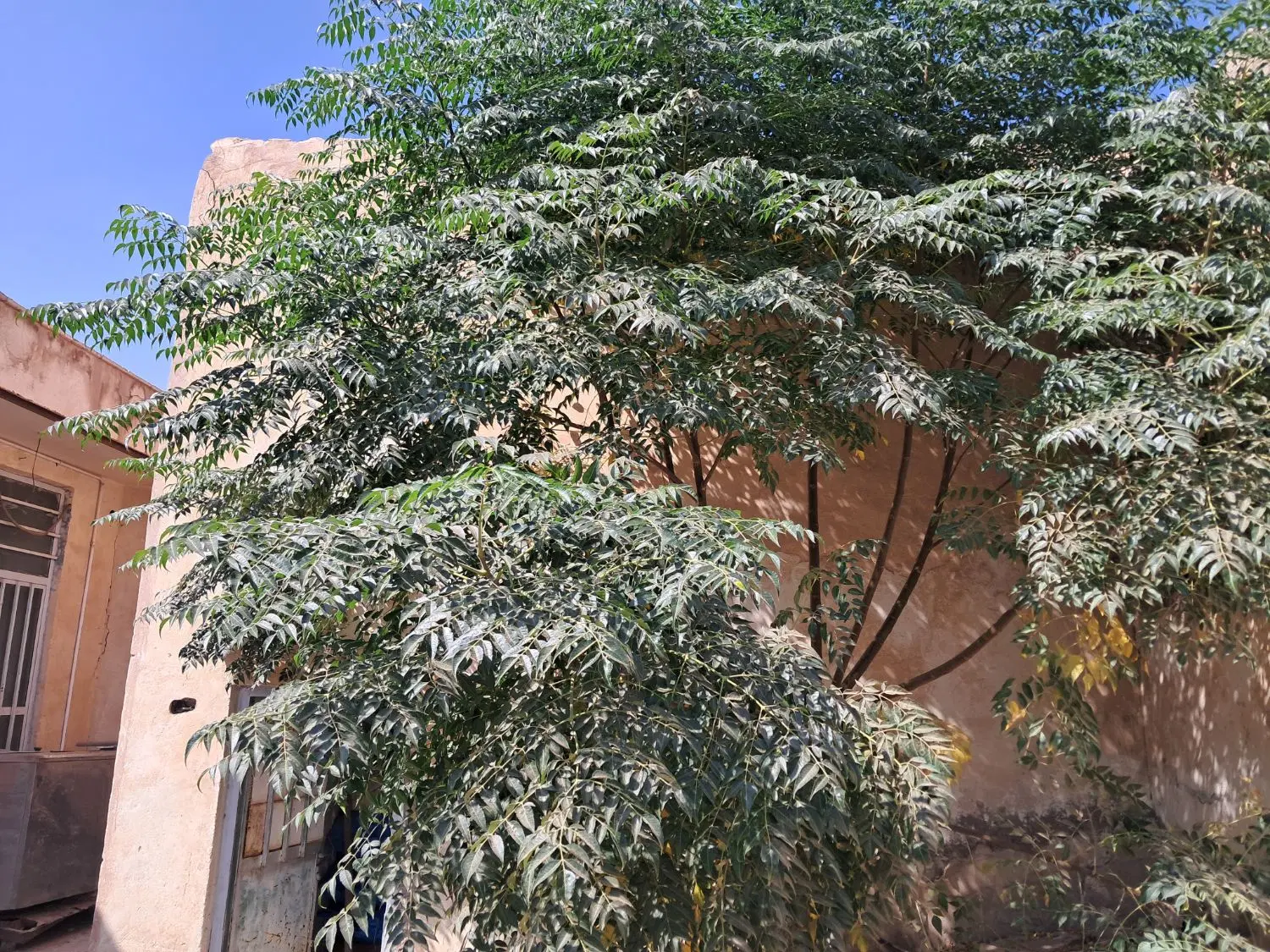 فروش خانه