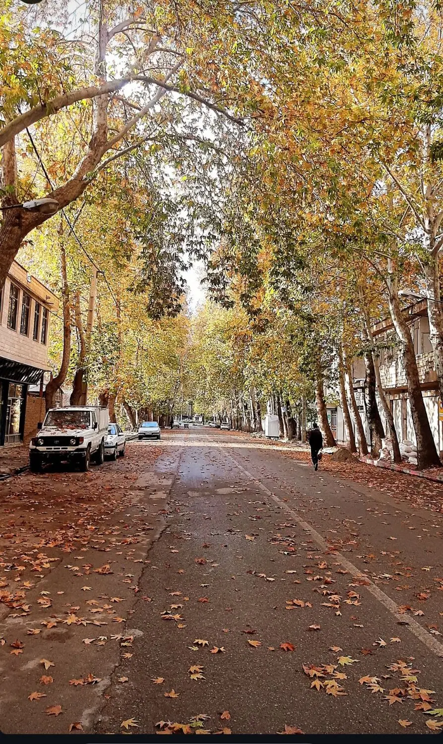 زمین دوکله بر اصلی خیابان پارک شهر