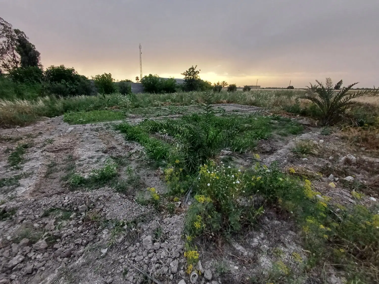 فروش زمین