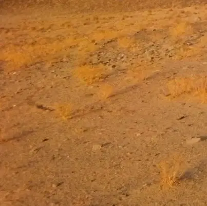 زمین بالاترازروستای شهدادآباد،وخواجه مسک نه هکتار