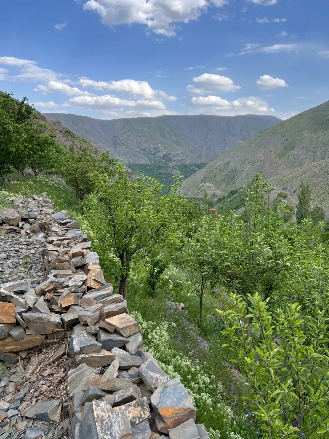 فروش باغ در زشک