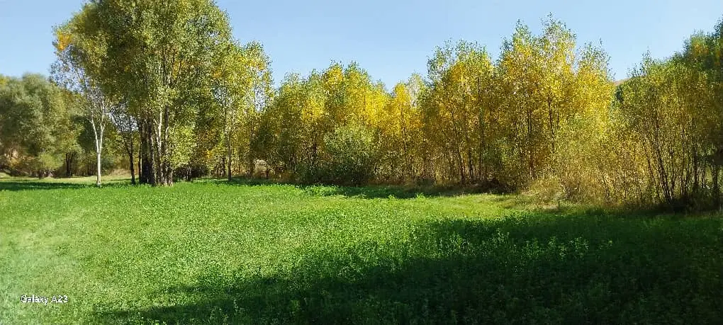 خانه کلنگی 320متر شنب غازان دامپزشکی آخونی خطیب