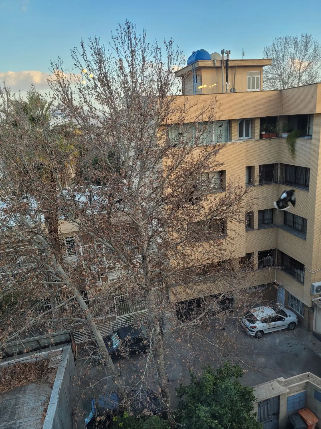 اجاره آپارتمان
