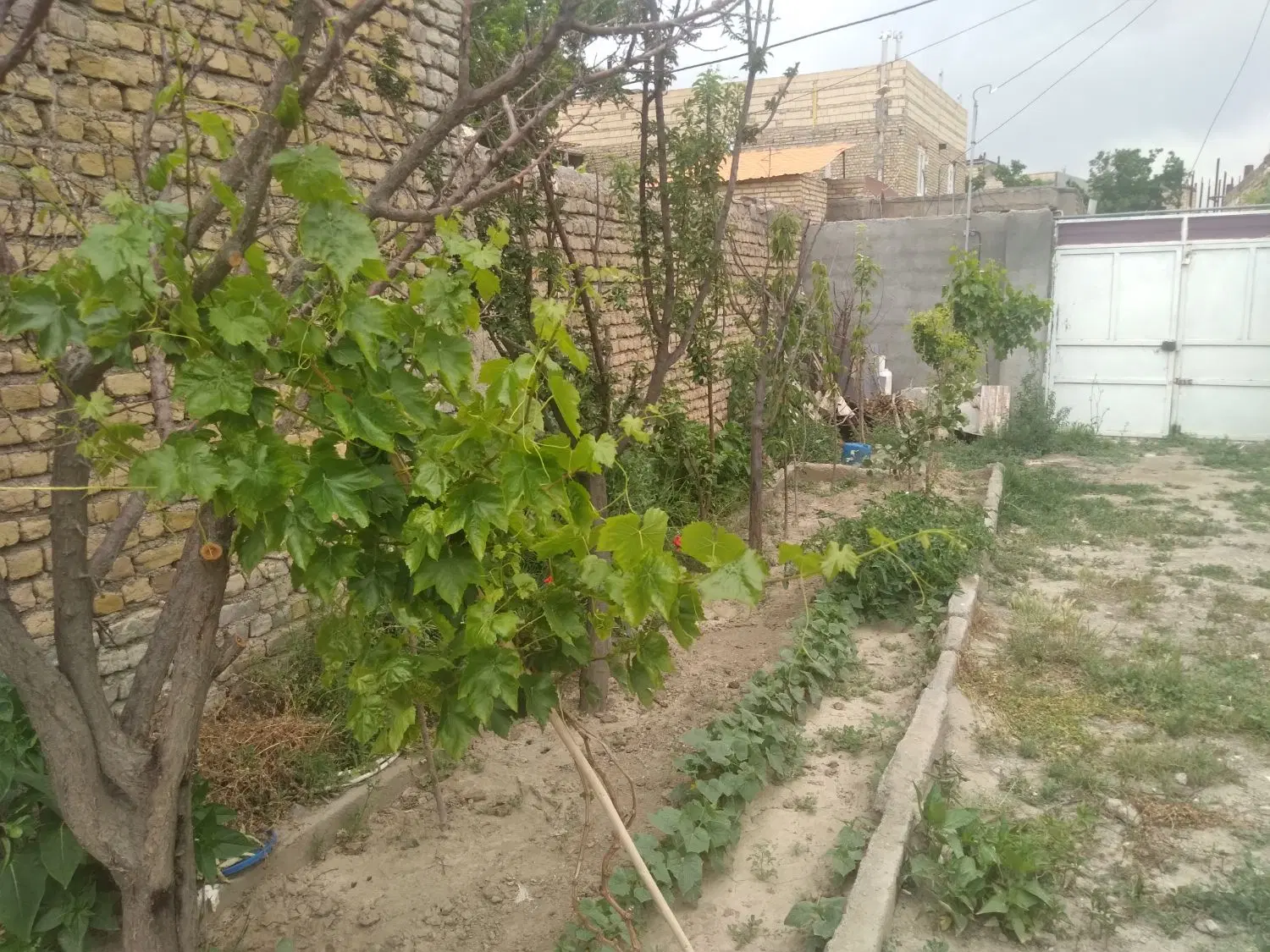 خانه ویلایی
