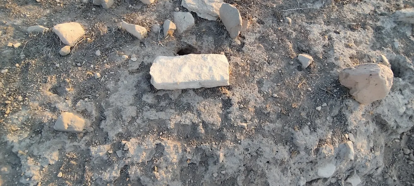 زمین داخل محدوده