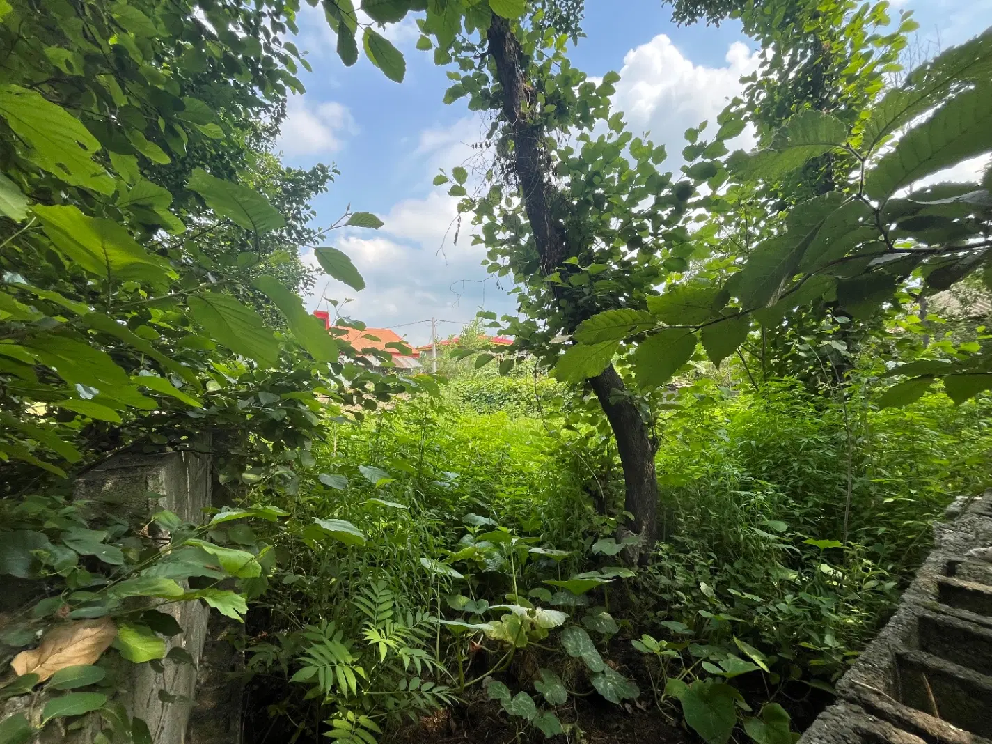 زمین مسکونی