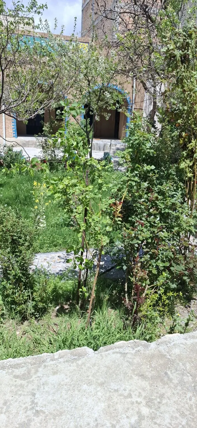 ملک کلنگی زمینی