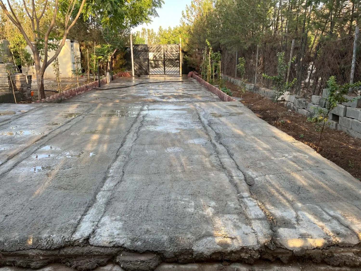 زمین باغی در کاشانک اسلامشهر