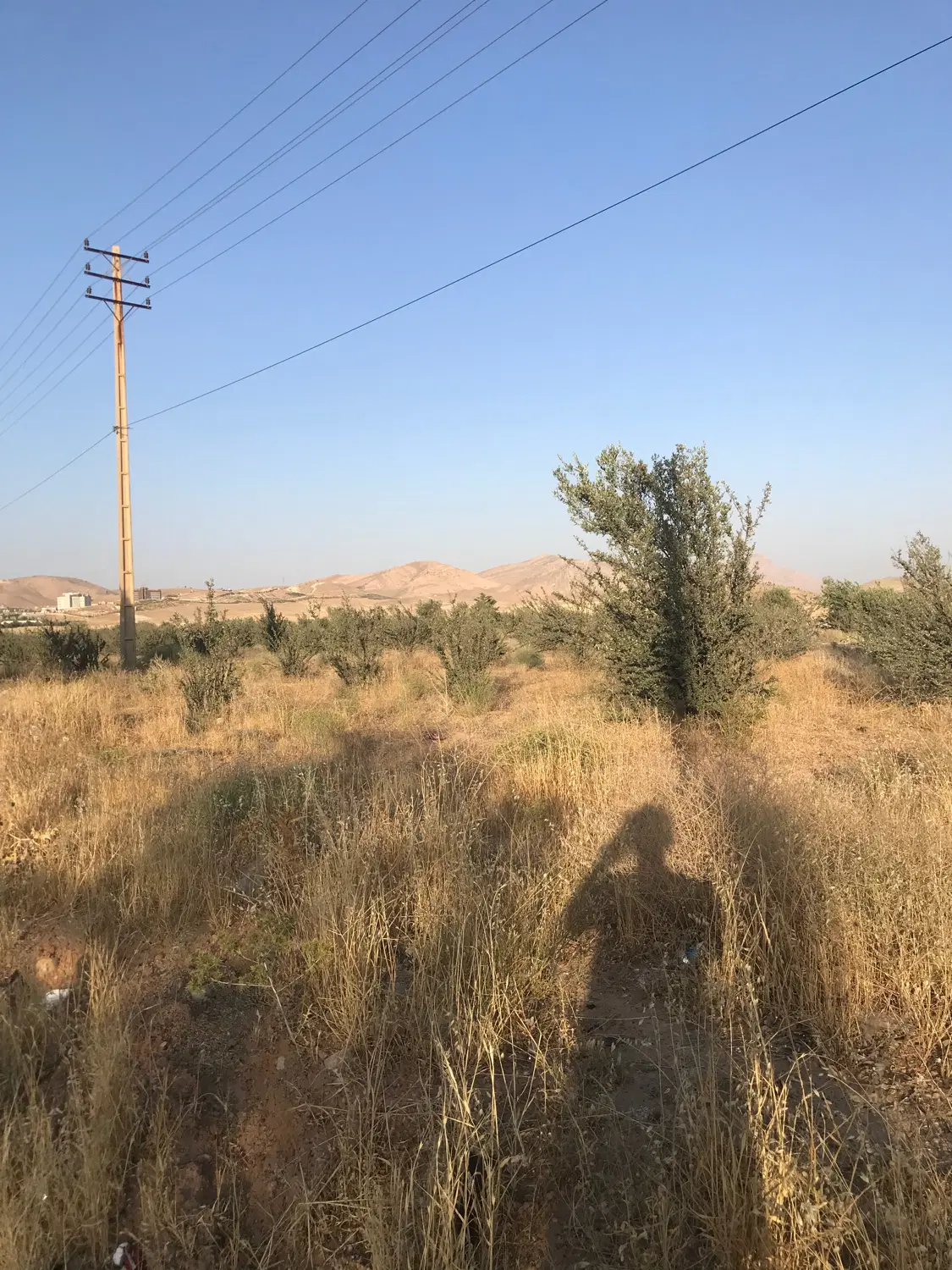 فروش زمین مشاع 500متری