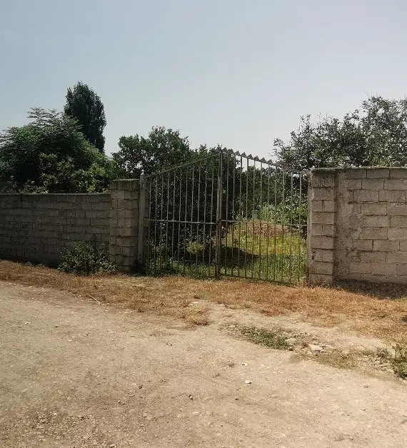 باغ تامسون ۲۰۰۰ متر زرویجان