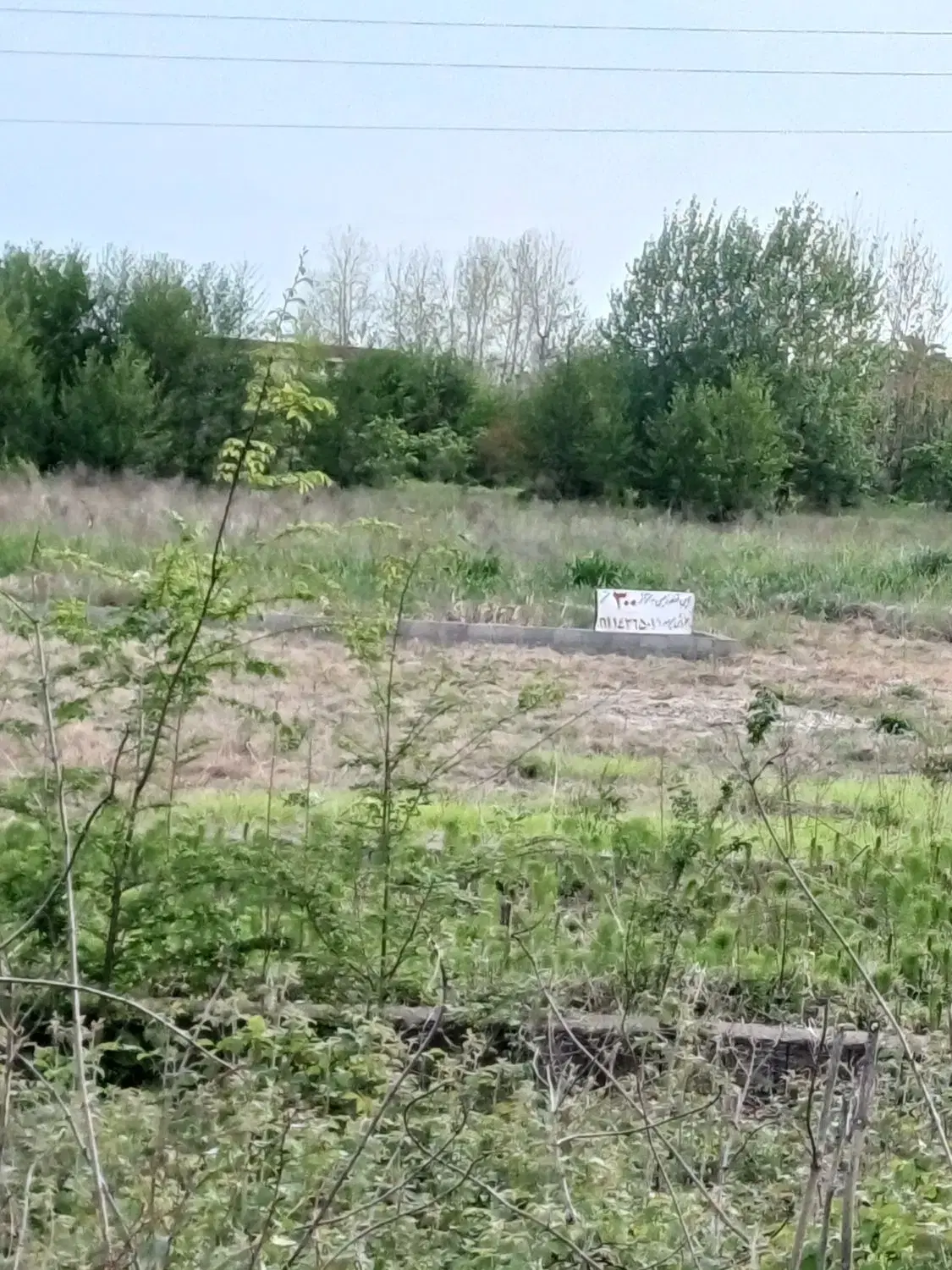 زمین مسکونی کوچصفهان
