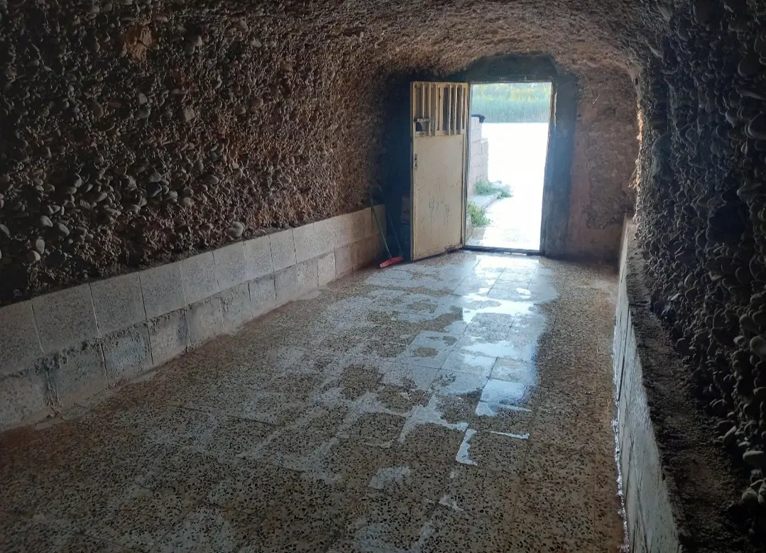 اجاره کت تفریحی رودخانه زلال دز تالخانی
