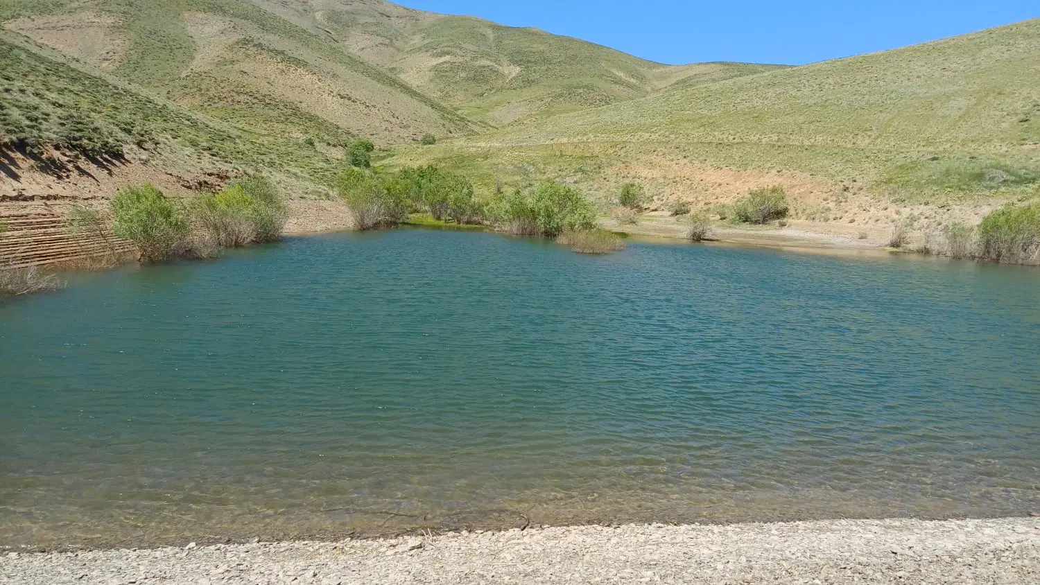 زمین کشاورزی