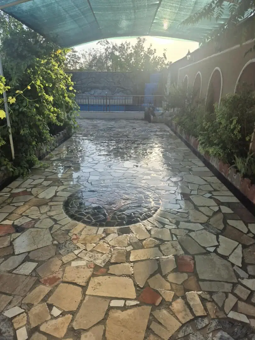 باغ ۶۰۰ متری زیبا