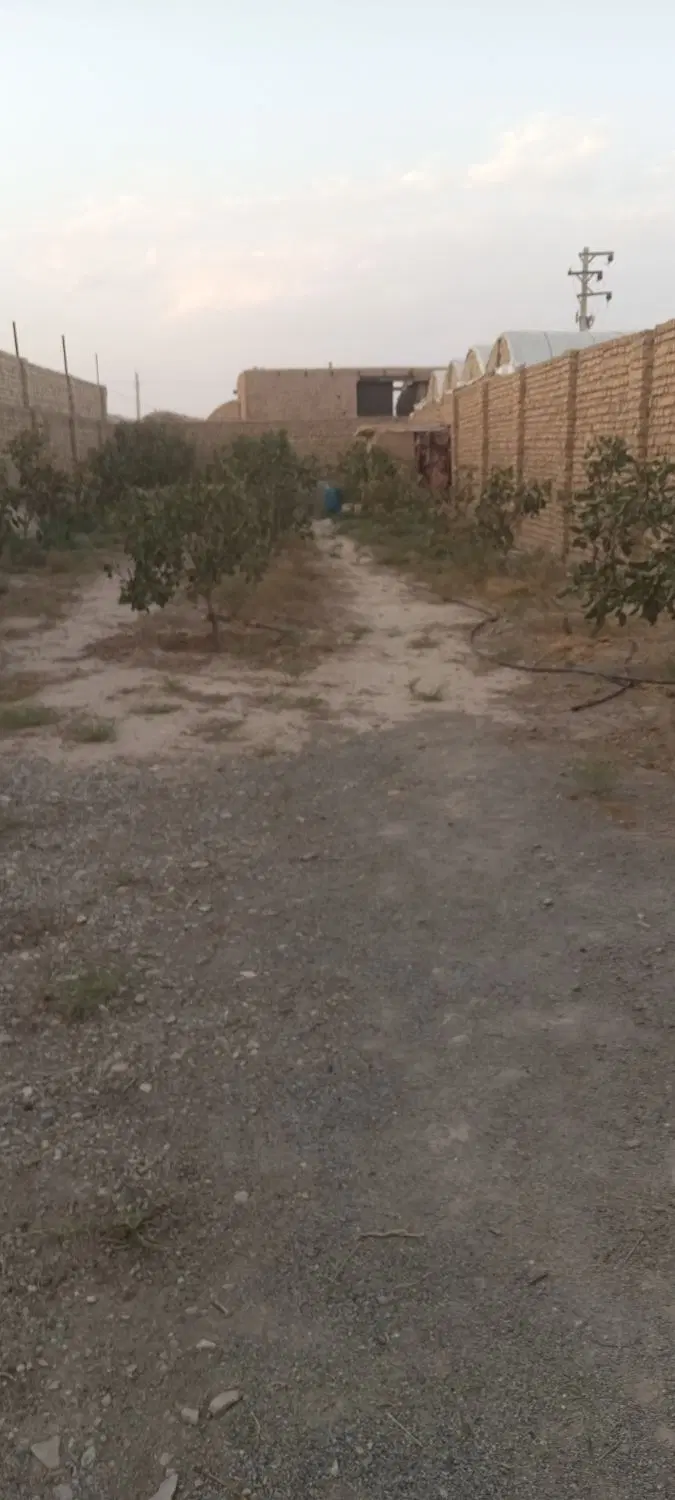 باغ