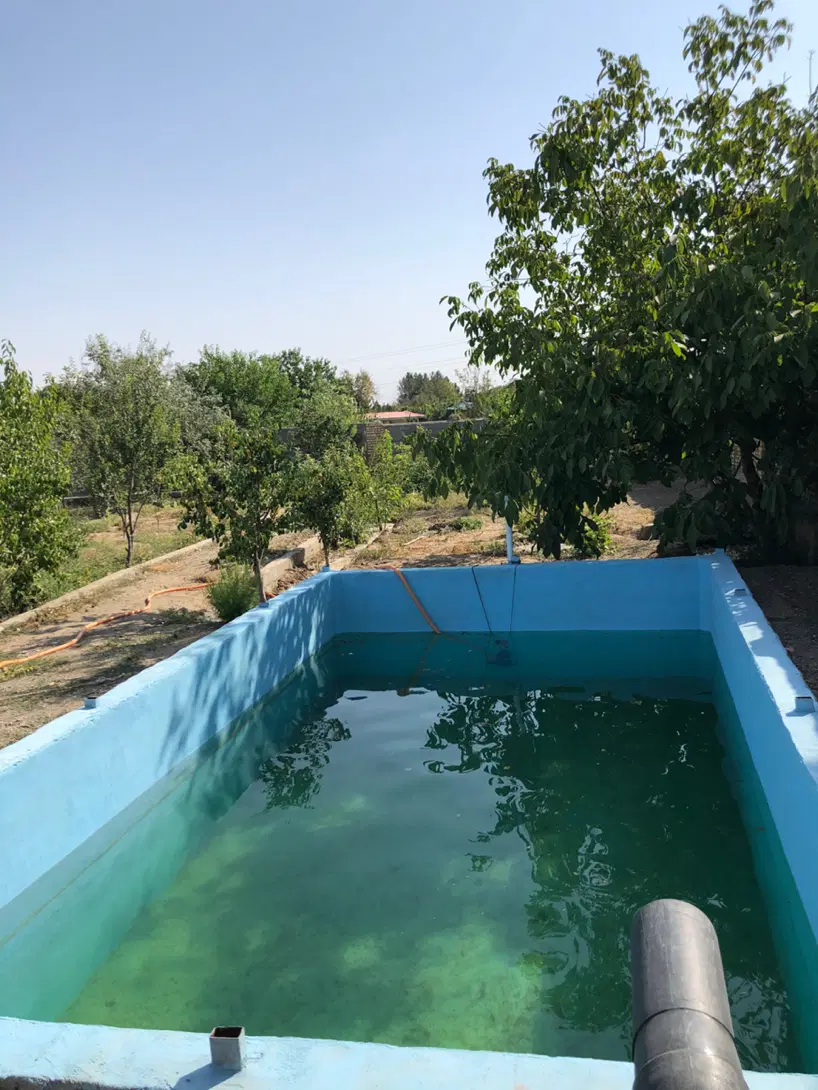 زمین(باغ)