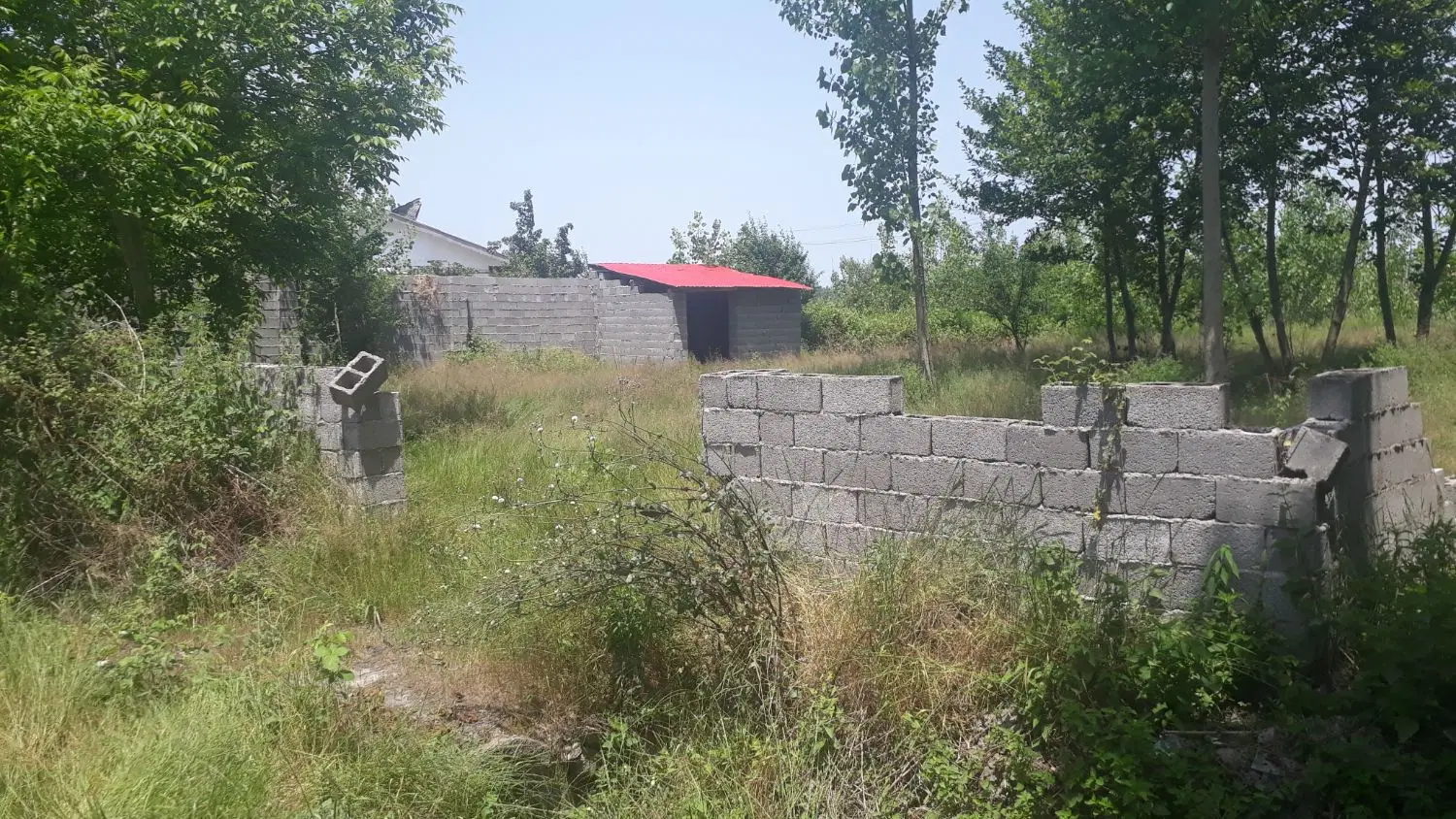 700 متری سند دار جاده انزلی شکار اسطلخ