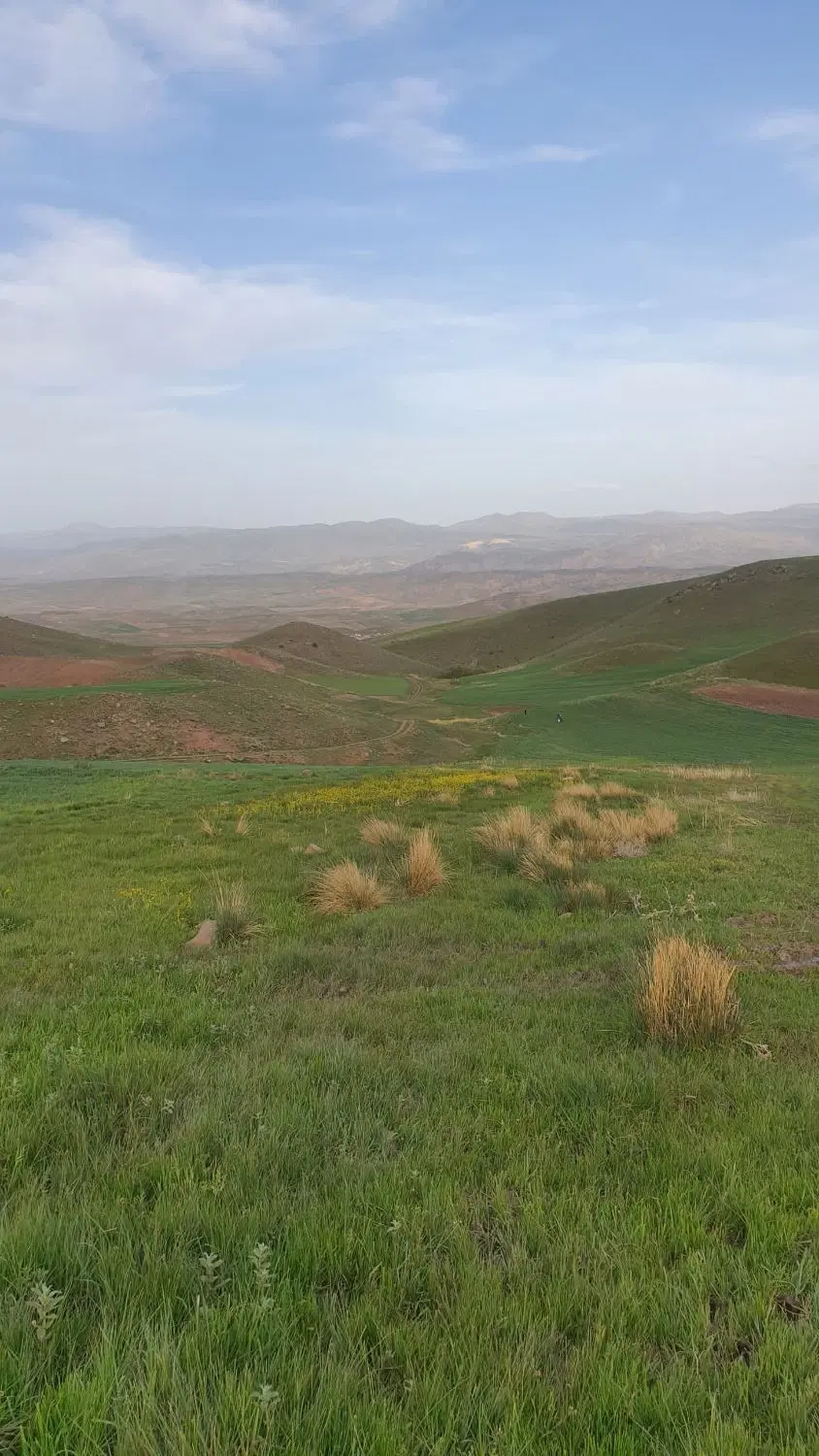 زمین مسکونی