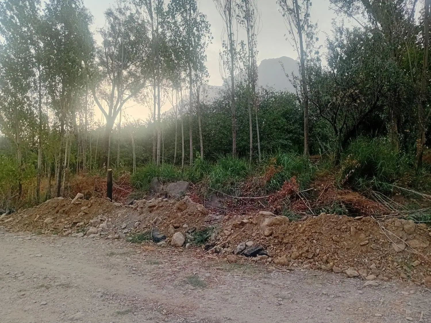 باغ میوه