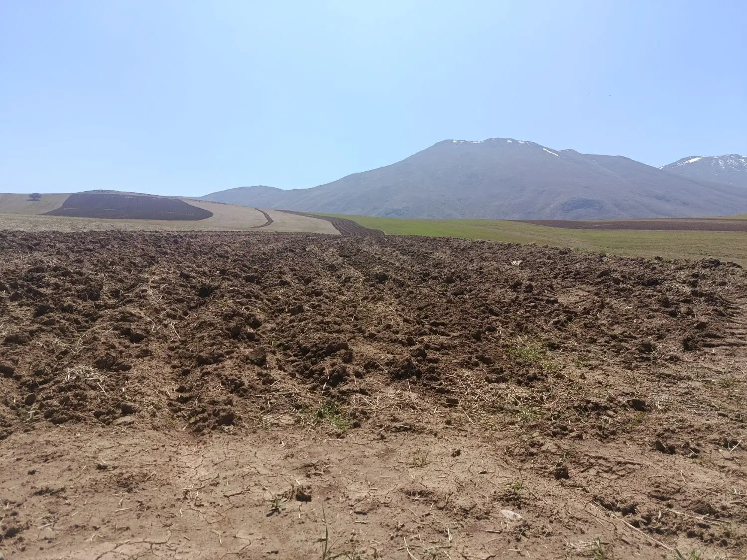 زمین ۱۱۷متر کوی زیتون