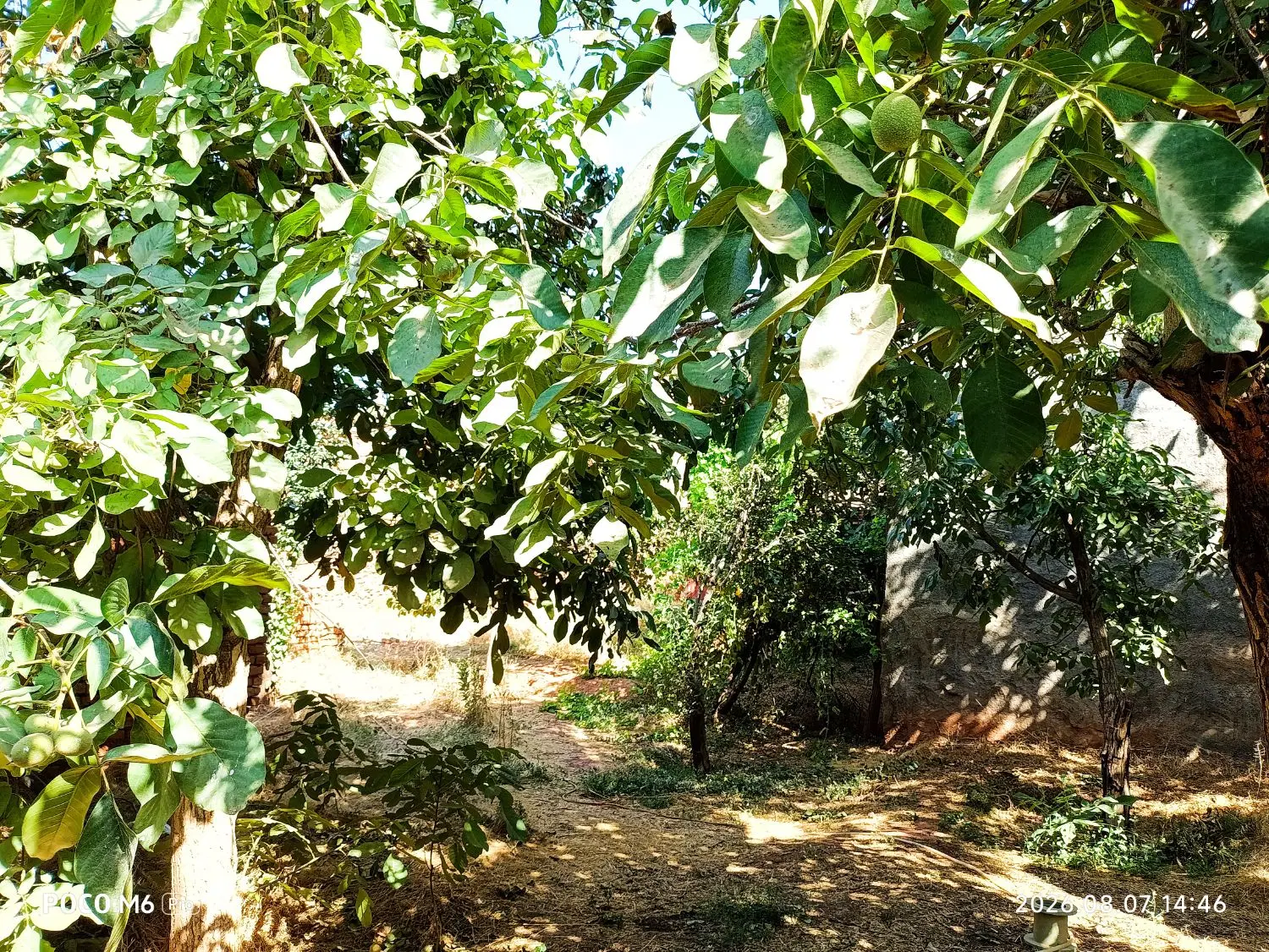 ویلایی ۷۵۰ متری  روستای دهسرخ ۴۵ کیلومتری مشهد