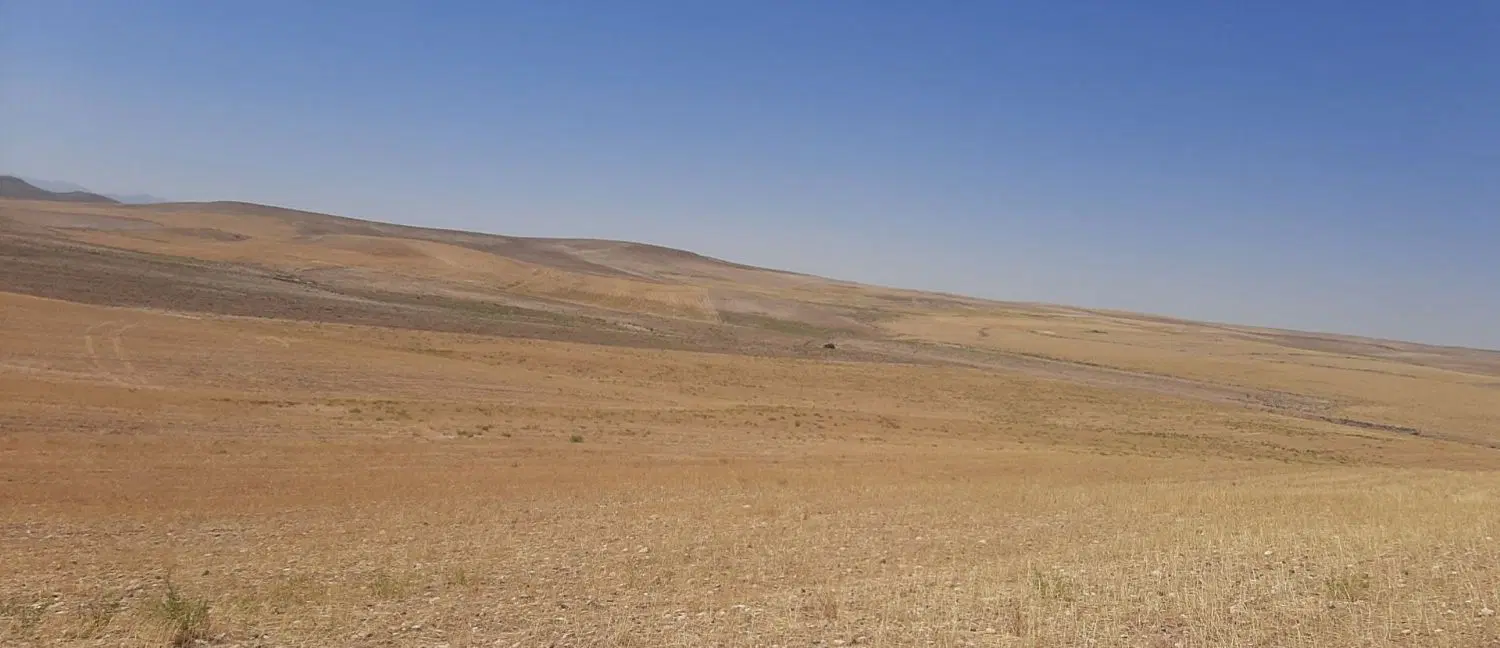 فروش حراجی زمین دیم