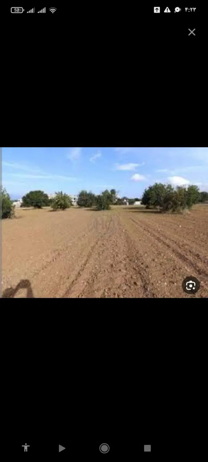 زمین