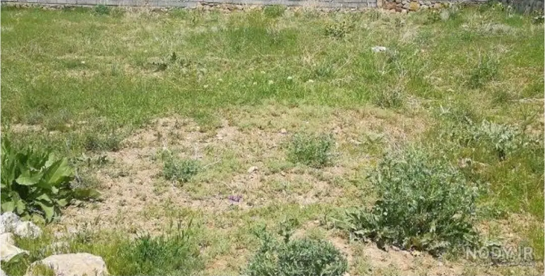 زمین مسکونی
