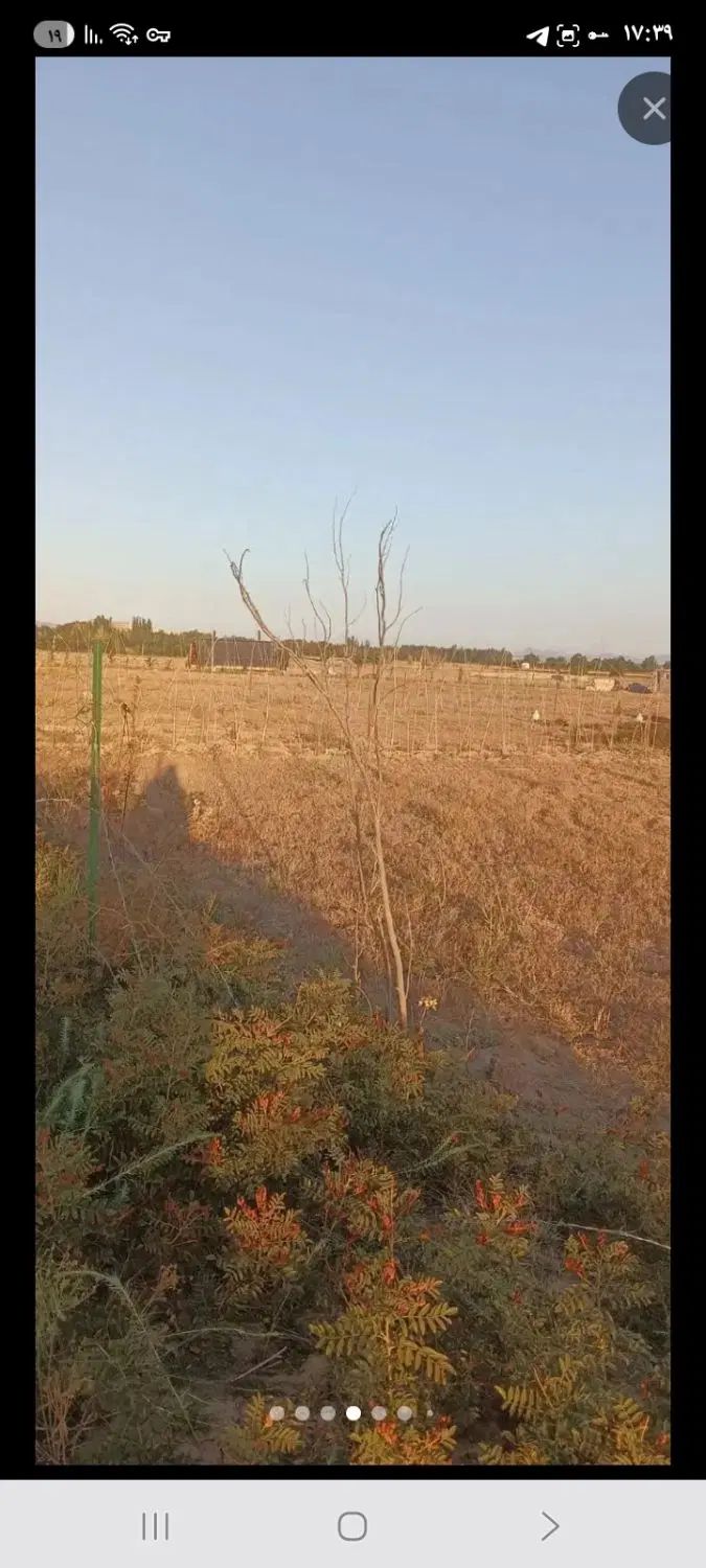 زمین باغی در روستای نوشنق