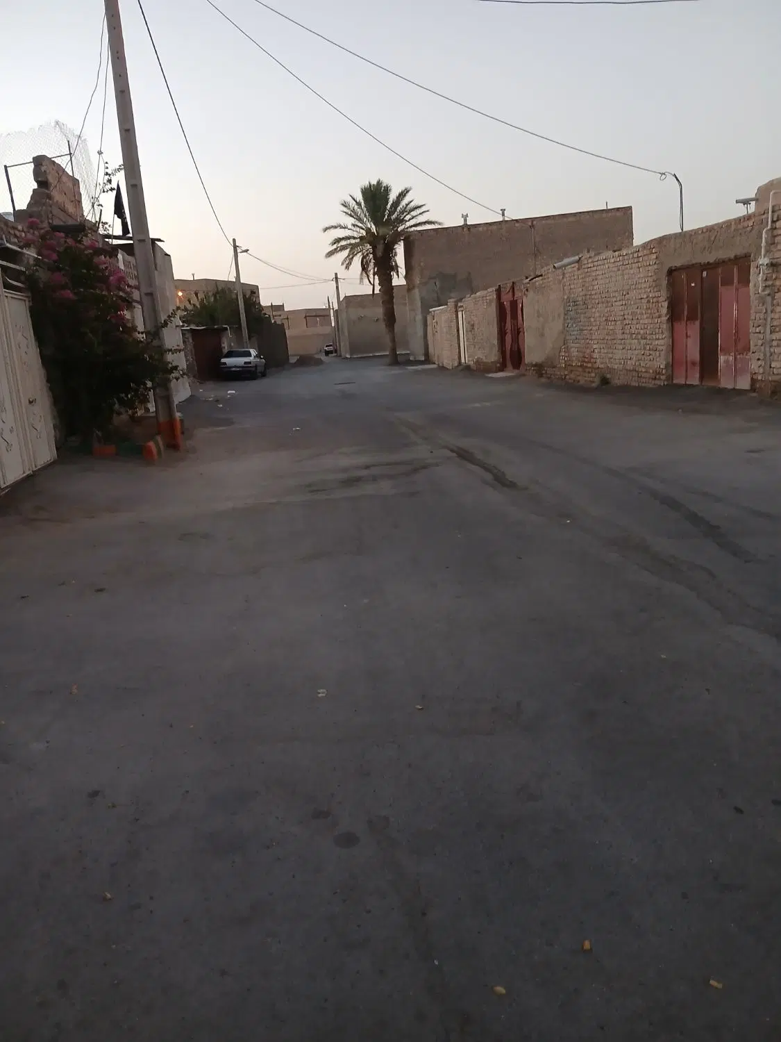 زمین