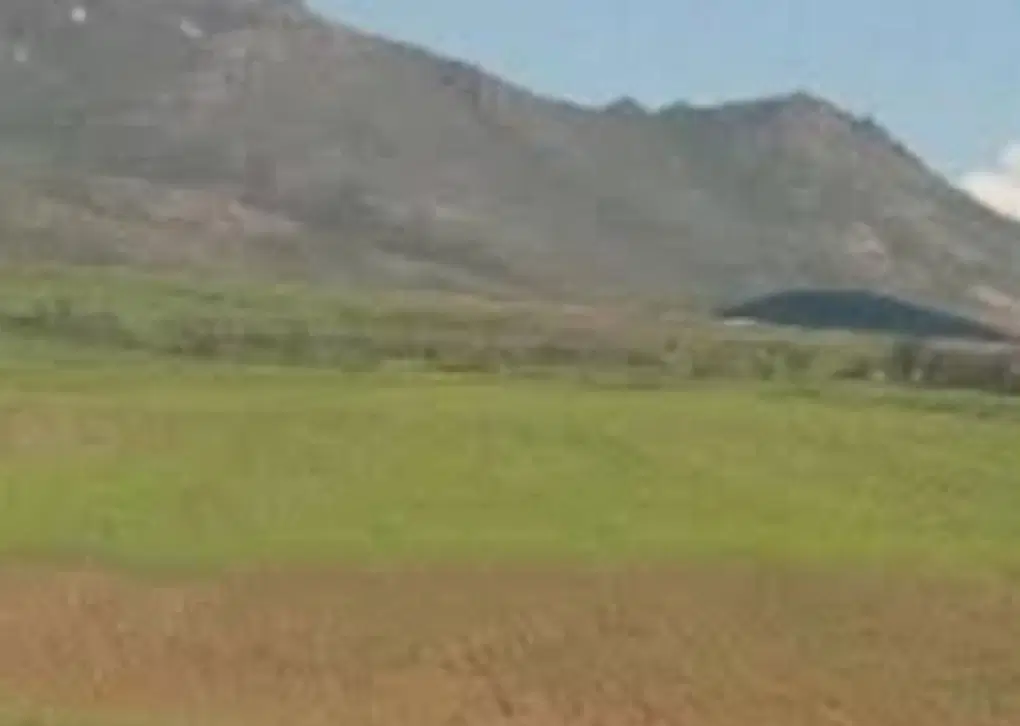 زمین کشاورزی وباغی