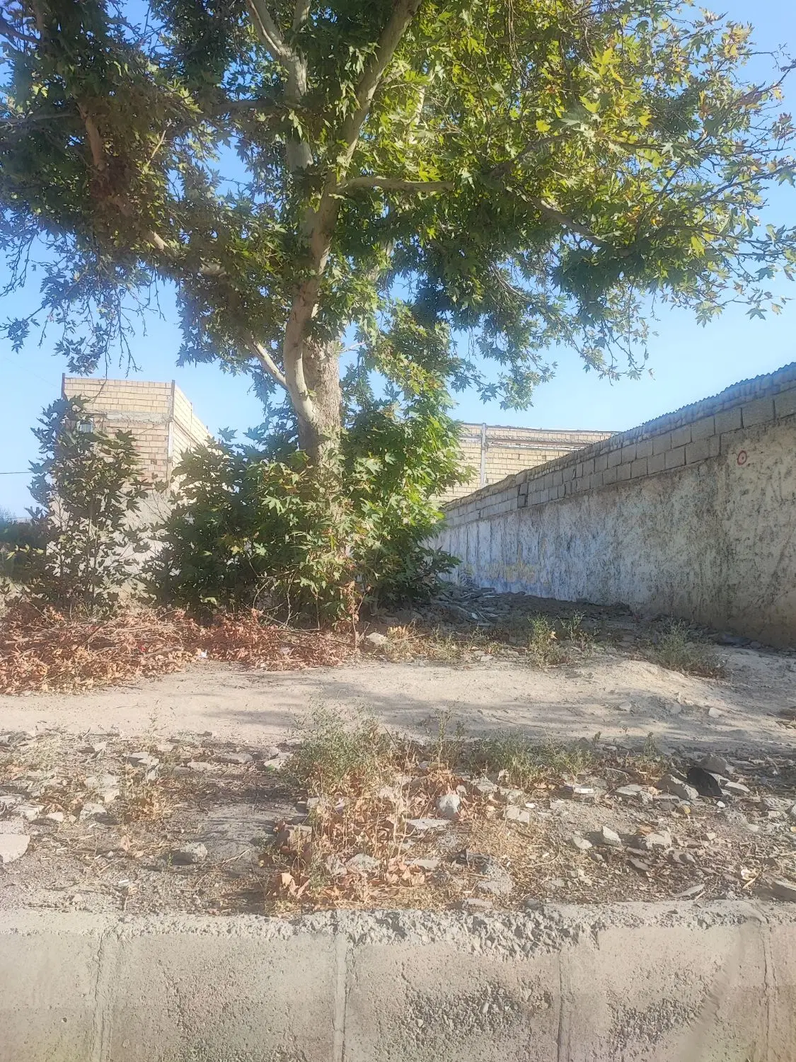 زمین تجاری مسکونی بحر خیابان