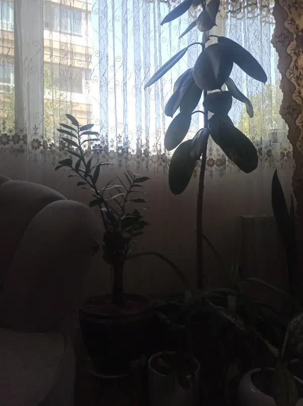 اجاره ۷۰متری شهرک مدرس